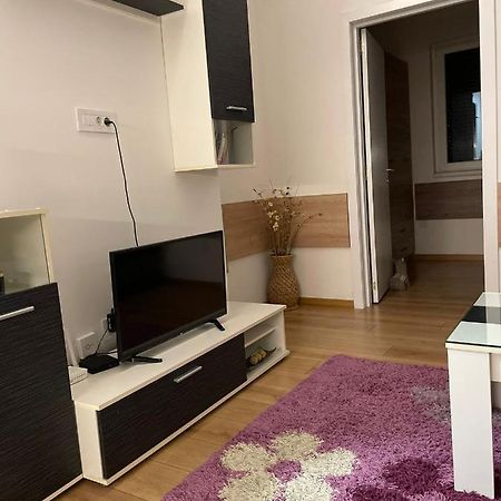 Apartman Mik Nowy Sad Zewnętrze zdjęcie