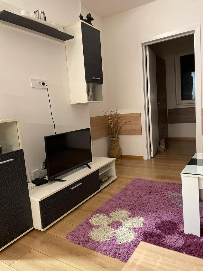 Apartman Mik Nowy Sad Zewnętrze zdjęcie
