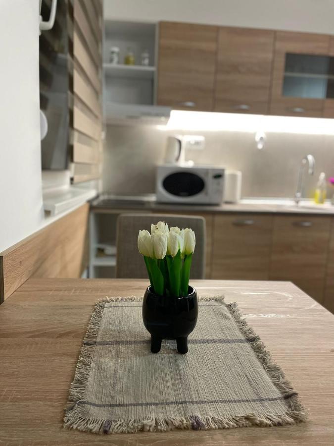 Apartman Mik Nowy Sad Zewnętrze zdjęcie