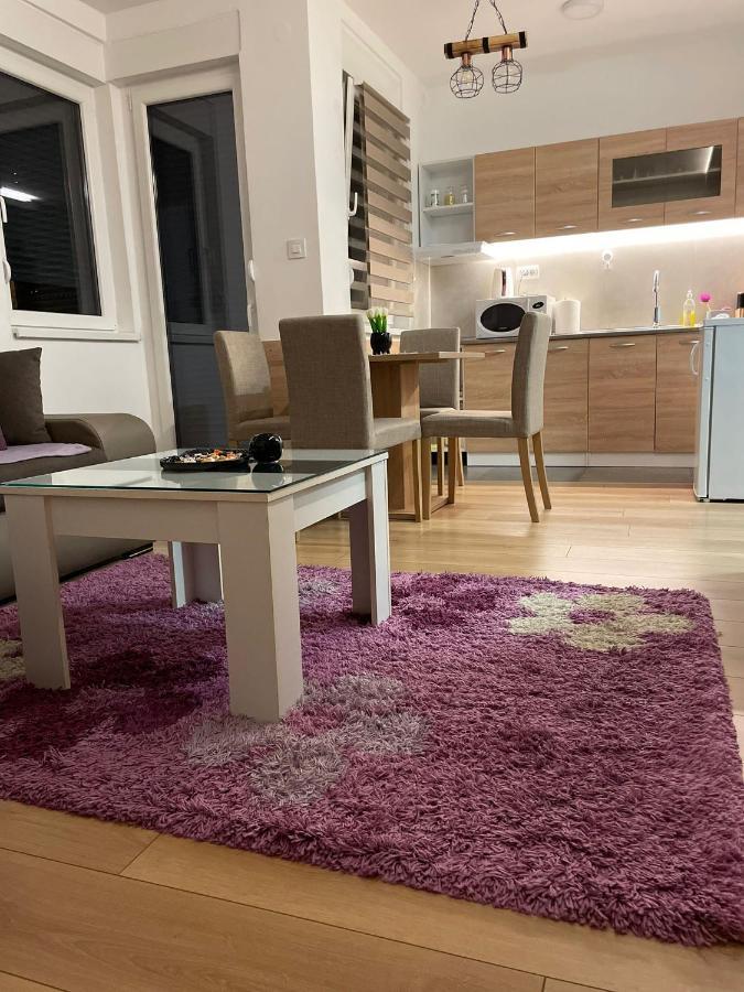 Apartman Mik Nowy Sad Zewnętrze zdjęcie