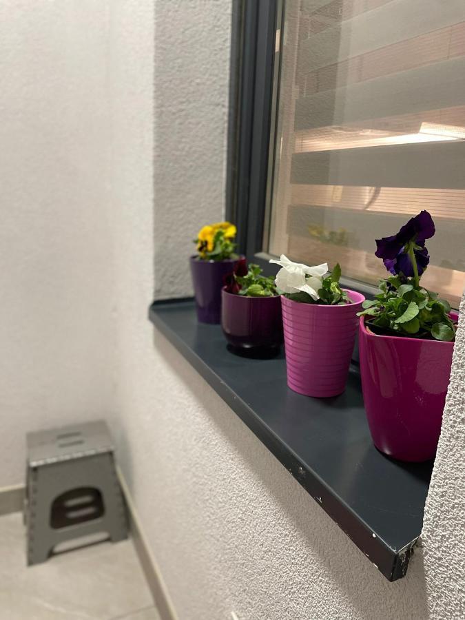 Apartman Mik Nowy Sad Zewnętrze zdjęcie